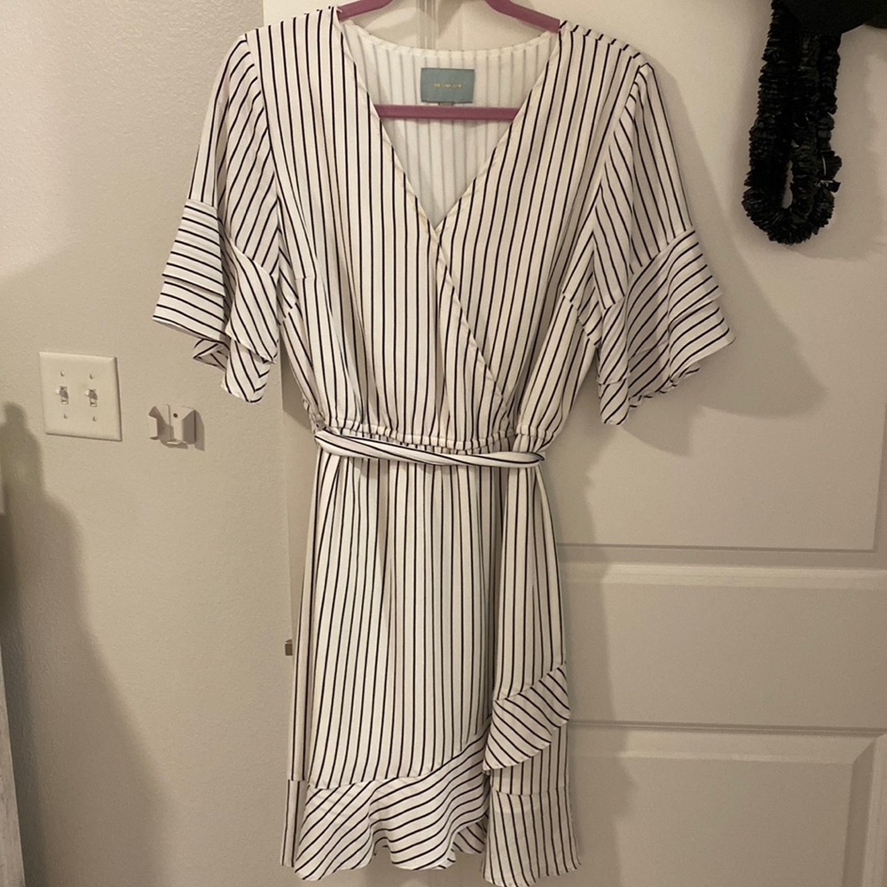 Skies are Blue Striped Black and White Dress